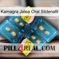 Kamagra Oral Jelly Sildenafil cialis5